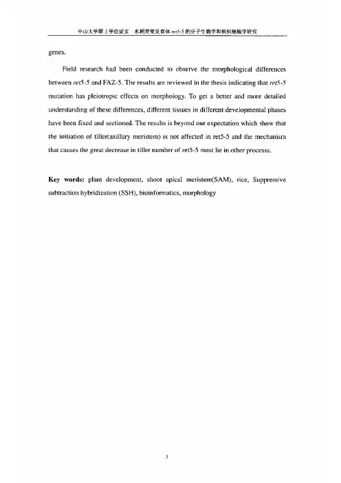水稻发育突变体ret55的分子生物学和组织细胞学研究