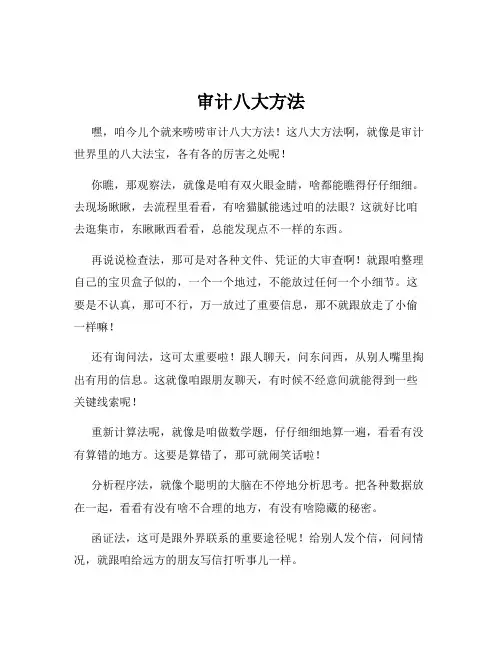 审计八大方法