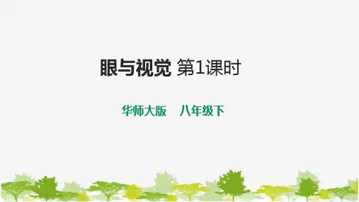 华师大八年级科学下册第3章第1节眼与视觉 第1课时 课件