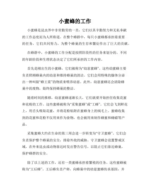 小蜜蜂的工作
