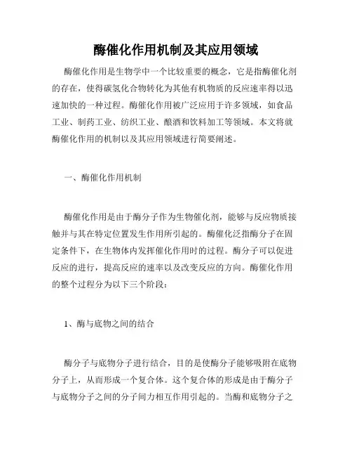 酶催化作用机制及其应用领域
