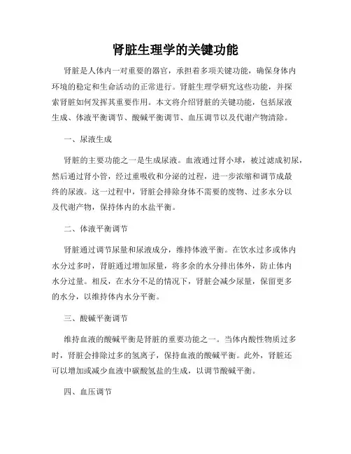 肾脏生理学的关键功能