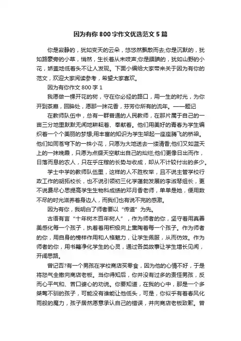 因为有你800字作文优选范文5篇