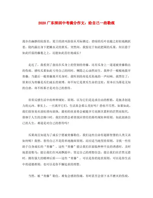 广东省深圳市2020年中考语文满分作文 给自己一些勒痕(通用)