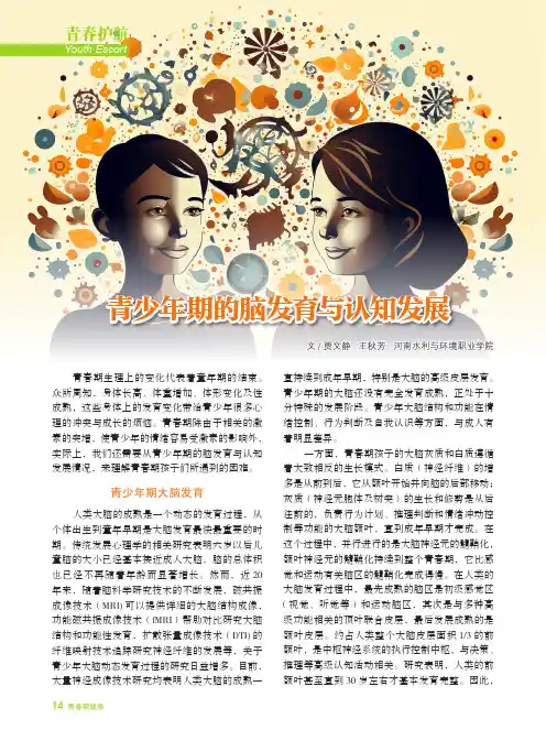 青少年期的脑发育与认知发展