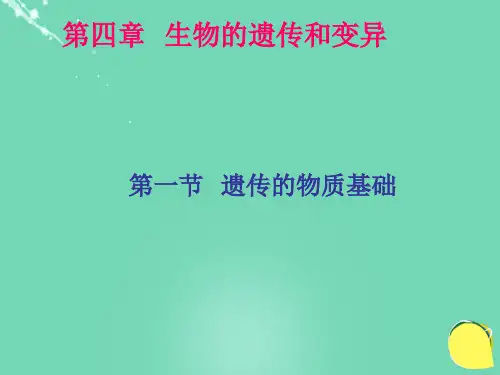 八年级生物上册 第四单元 第四章 第一节 遗传的物质基础课件(3)(新版)济南版