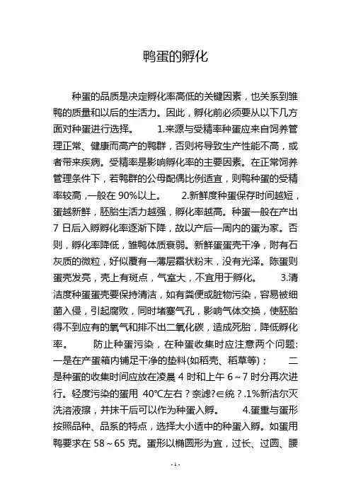 鸭蛋的孵化