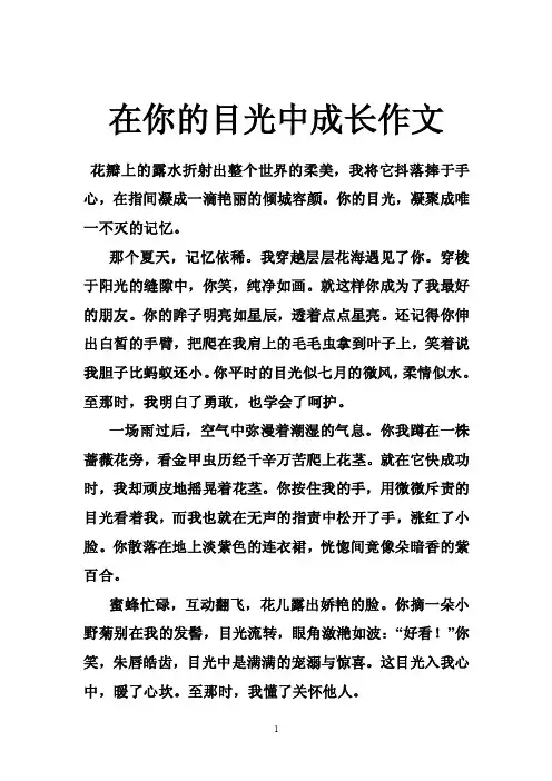 在你的目光中成长作文