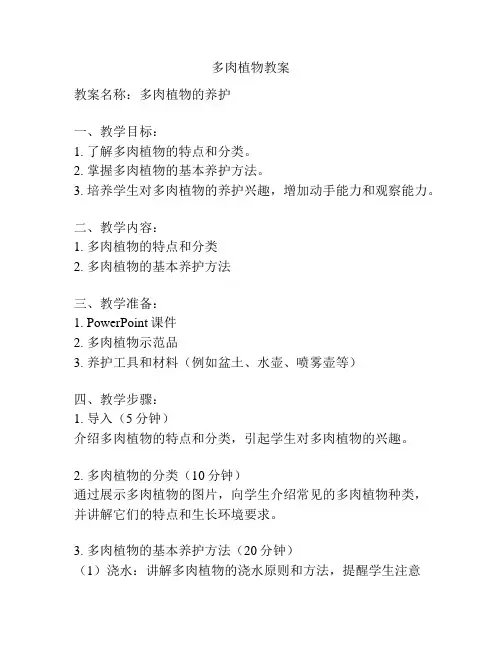 多肉植物教案