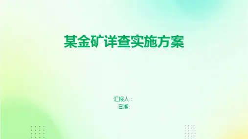 某金矿详查实施方案