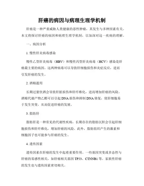 肝癌的病因与病理生理学机制