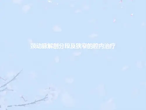颈动脉解剖分段及狭窄的腔内治疗ppt【29页】