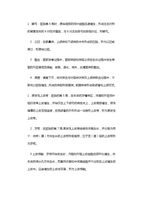 口组名词解释