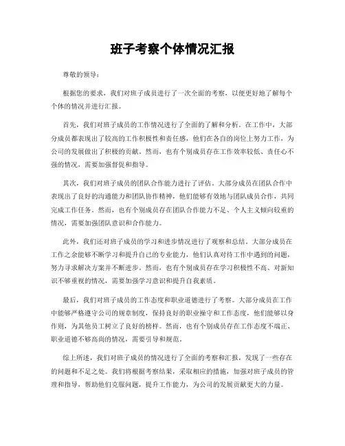 班子考察个体情况汇报