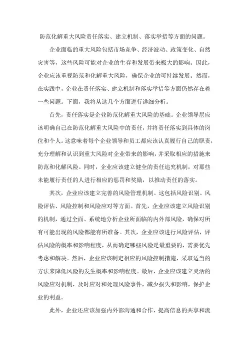 防范化解重大风险责任落实、建立机制、落实举措等方面的问题。