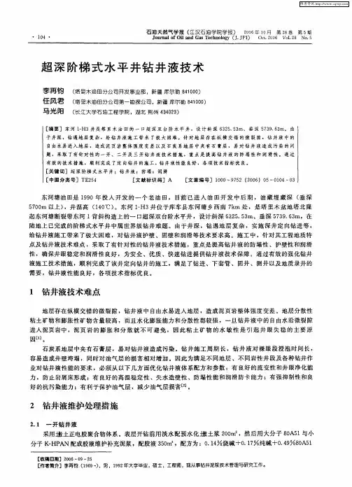 超深阶梯式水平井钻井液技术