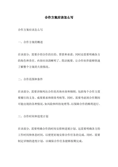 合作方案应该怎么写