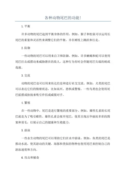 各种动物尾巴的功能!