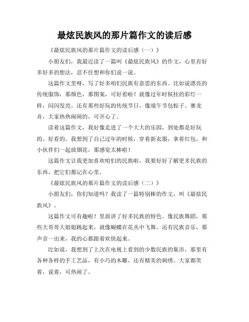 最炫民族风的那片篇作文的读后感