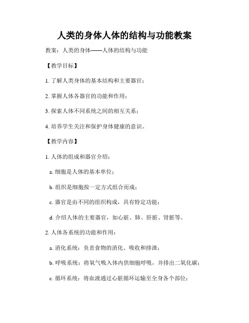 人类的身体人体的结构与功能教案