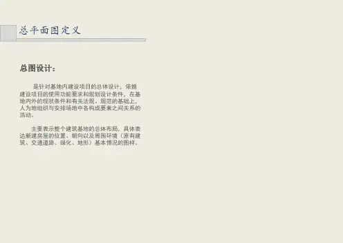 总平面图设计要点说明