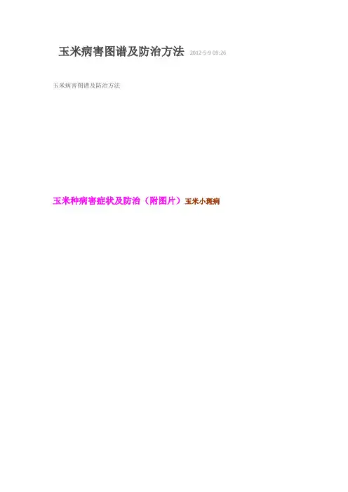 玉米病害图谱及防治方法 2012