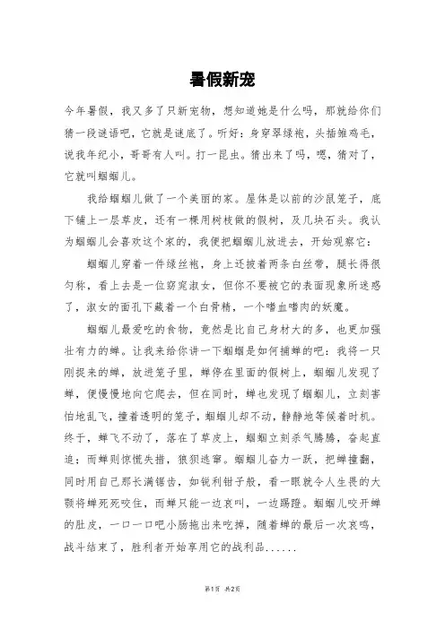 暑假新宠_五年级作文