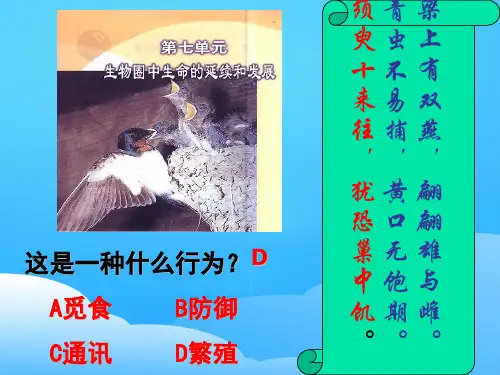 人教版初中生物复习课：生殖与发肓-植物的生殖 课件ppt