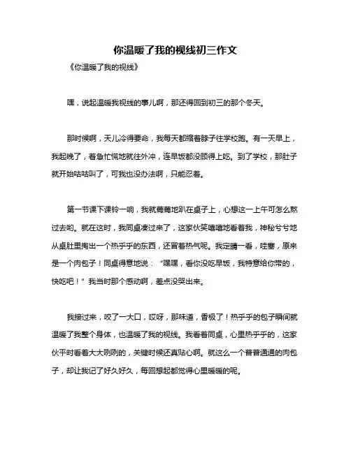 你温暖了我的视线初三作文
