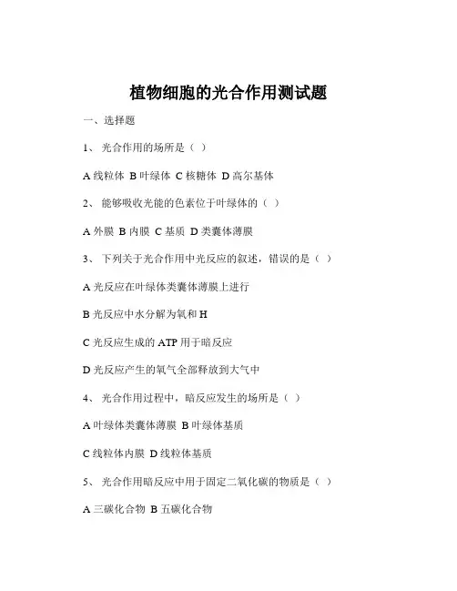 植物细胞的光合作用测试题
