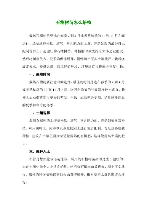 石榴树苗怎么培植