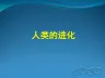 家长进课堂：人类进化.