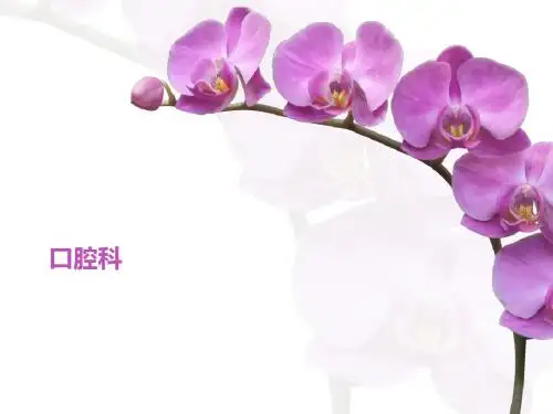 口腔科 ppt课件