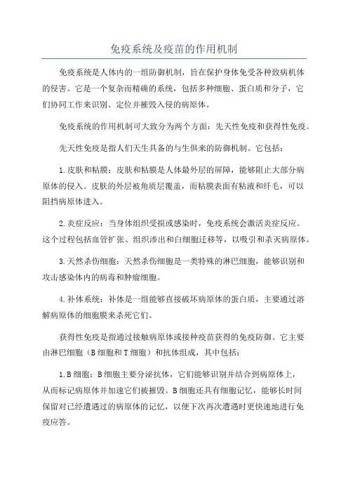 免疫系统及疫苗的作用机制