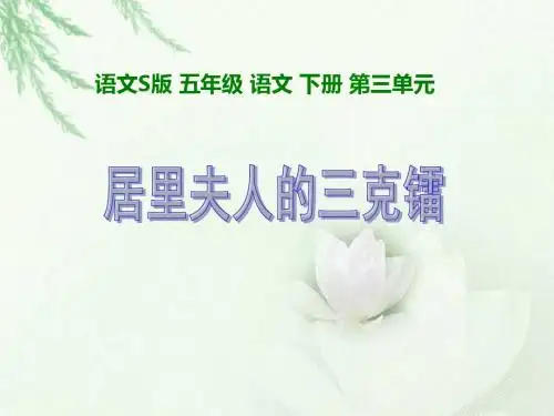 《居里夫人的三克镭》课件.ppt资料