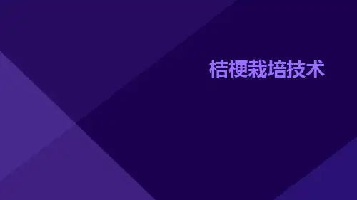 桔梗栽培技术