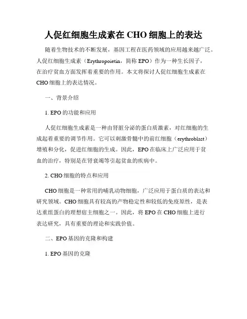 人促红细胞生成素在CHO细胞上的表达