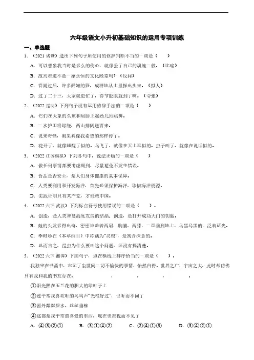 小学语文六年级语文小升初基础知识的运用专项训练(含答案)