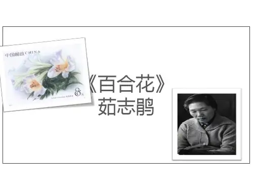 百合花 高一语文