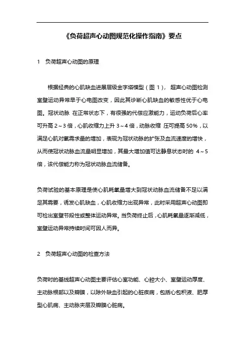 《负荷超声心动图规范化操作指南》要点