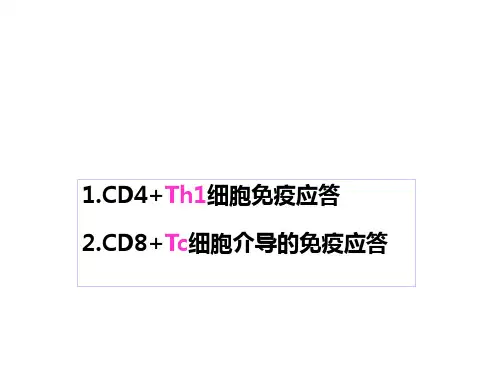 T细胞介导的细胞免疫应答