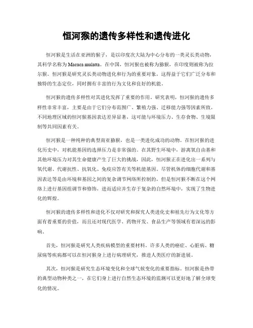 恒河猴的遗传多样性和遗传进化