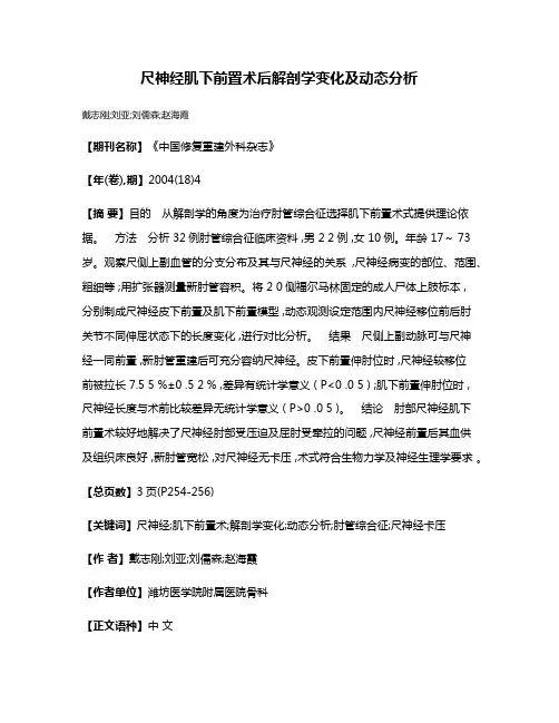 尺神经肌下前置术后解剖学变化及动态分析