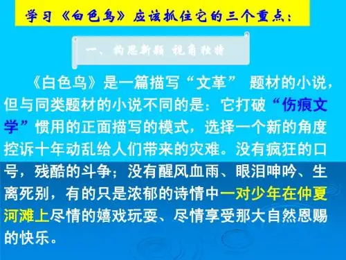 2_白色鸟