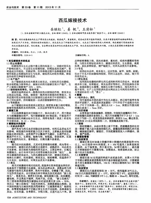西瓜嫁接技术