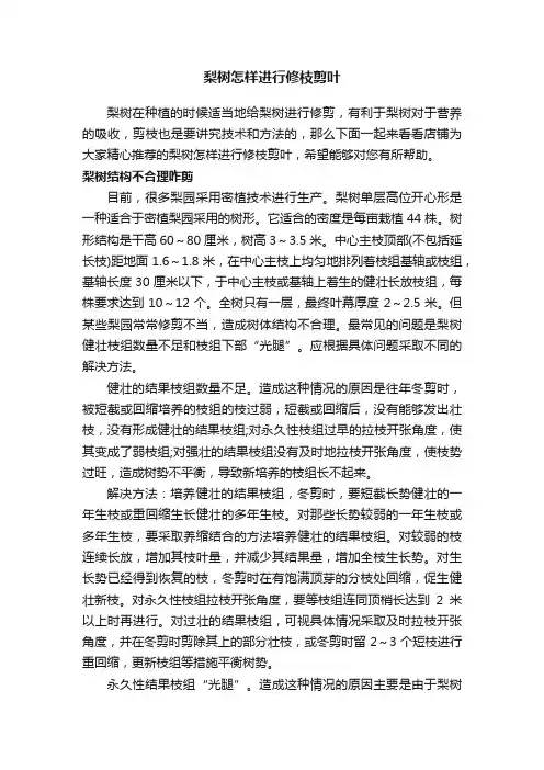 梨树怎样进行修枝剪叶