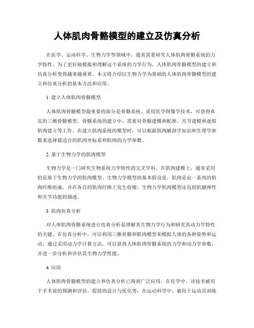 人体肌肉骨骼模型的建立及仿真分析