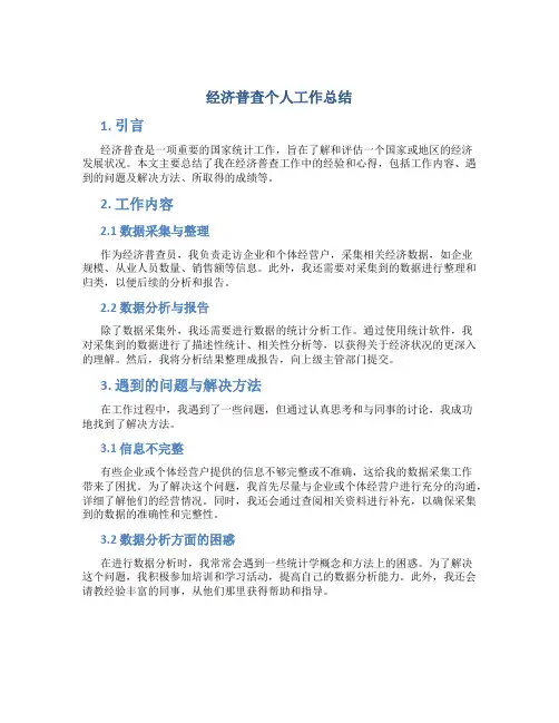 经济普查个人工作总结
