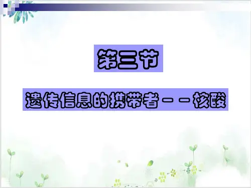 人教版必修一遗传信息的携带者-核酸(35张)-PPT优秀课件