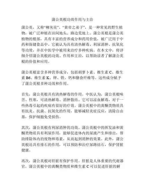 蒲公英根功效作用与主治
